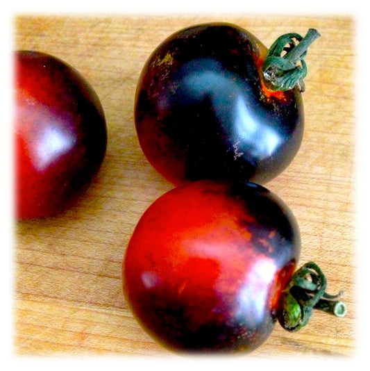 Burst Tomato Sauce!