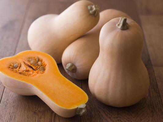 Carbs & Your Paleo Diet