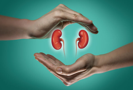 The Paleo Diet & Kidney Health