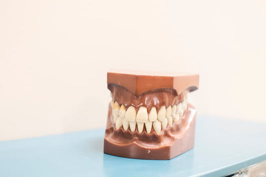 The Paleo Diet And Your Oral Health?