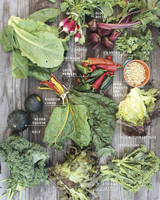 Know your Vegetables