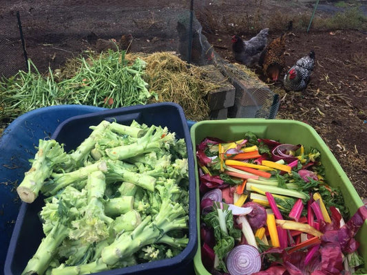 What You NEED To Know About The Farm To Table Movement