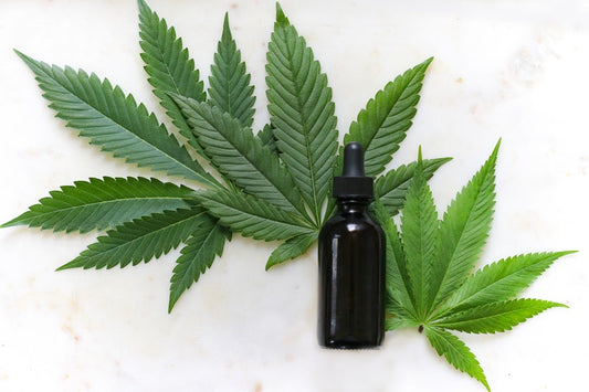 All About CBD