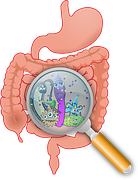 Beneficial Bacteria