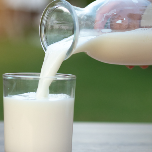 Should You Include Dairy?