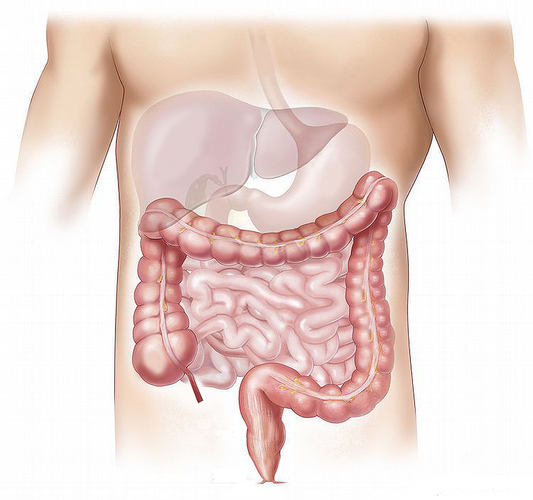 Digestion – The Challenge of the Finish (Part 2)