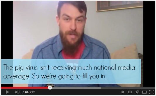 Pig Virus: Part 2...Raising Awareness