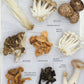 Paleo By Season - Pete's Real Food
